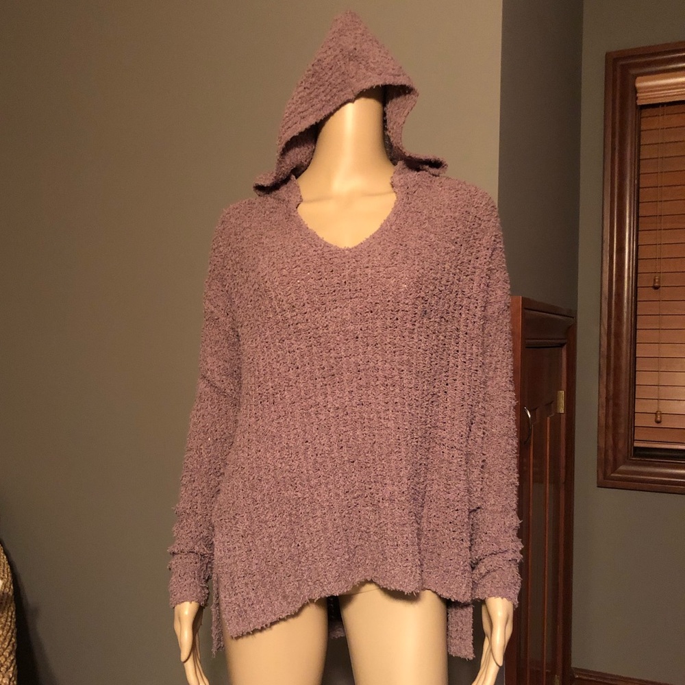 American Eagle Outfitters Hooded Sweatshirt NWT